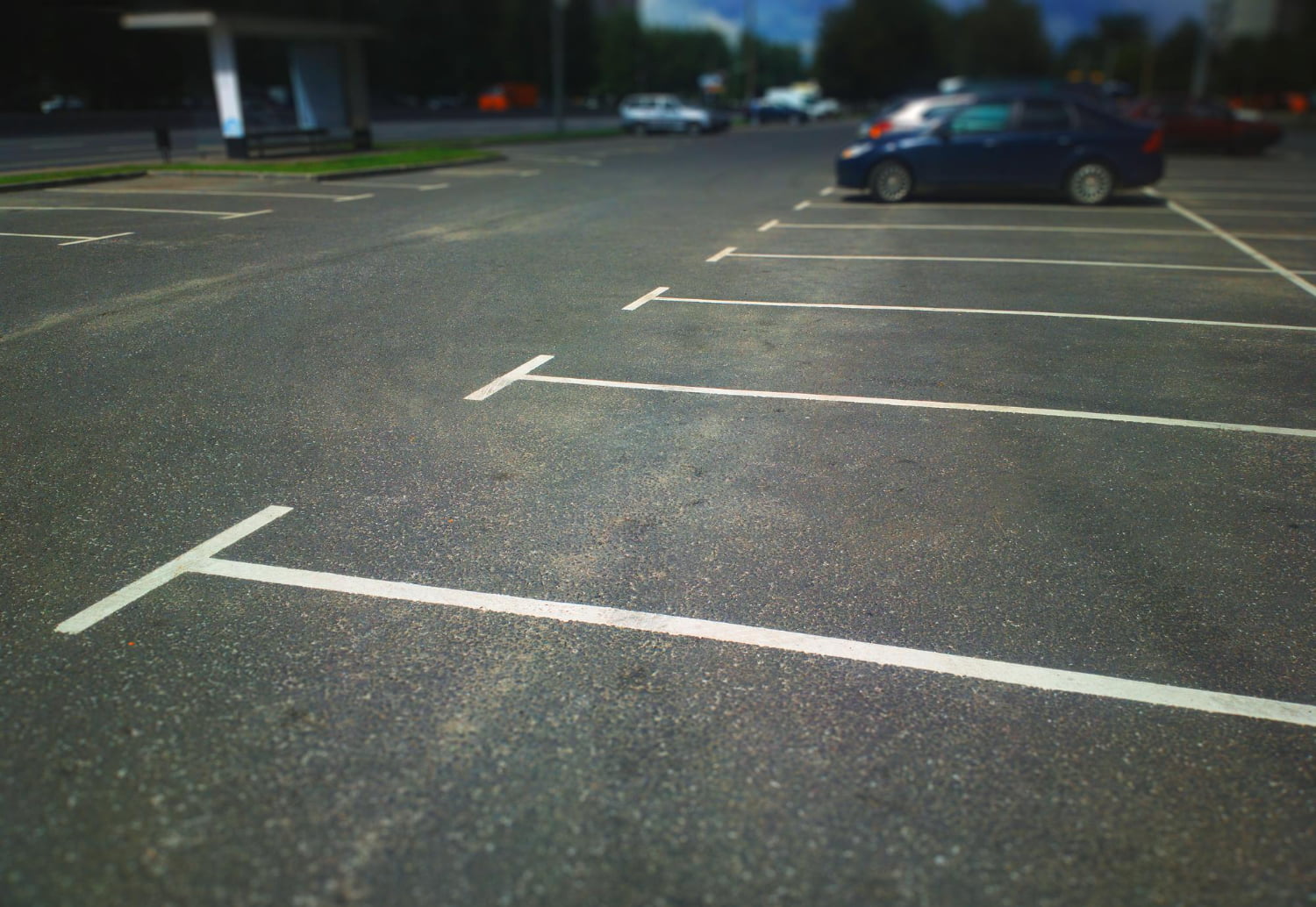 Armor Asphalt | Charlotte, NC | An image of a nearly empty parking lot pavement on a sunny day, most spaces unoccupied. A few cars, including a dark-colored sedan, are parked near the far end. Trees and a small structure are visible in the background. The pristine surface hints at Armor Asphalt In Charlotte, NC craftsmanship.