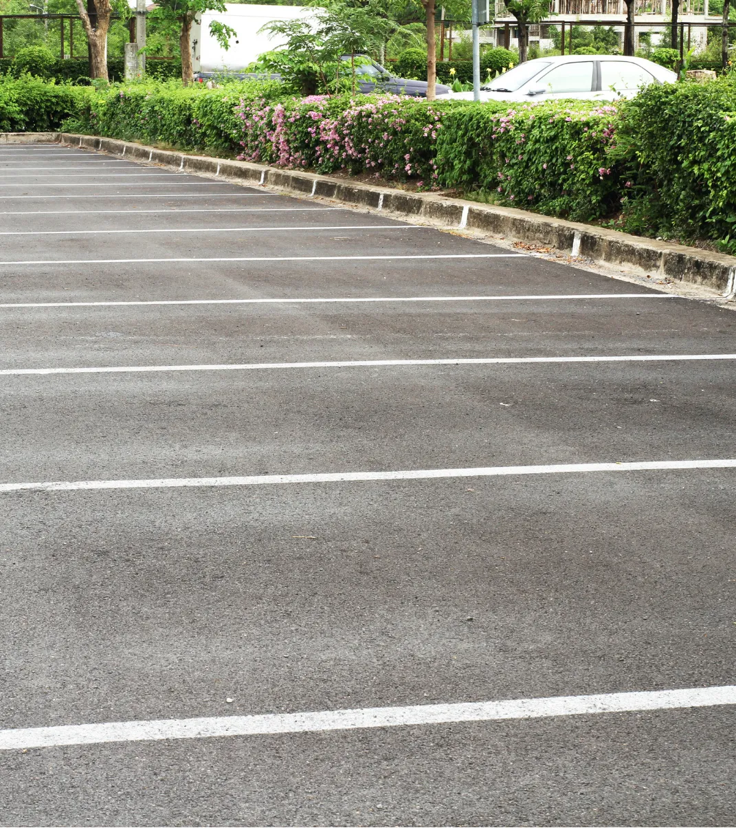 Empty parking lot with white lines, bordered by green bushes and trees; one car is partly visible in the background.